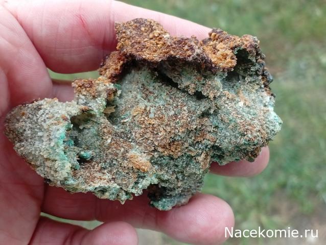 Компания кладоискателей. Болталка форума Минералов