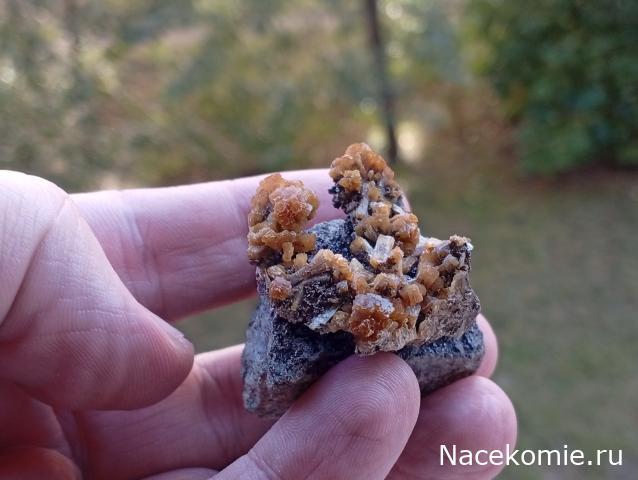 Компания кладоискателей. Болталка форума Минералов