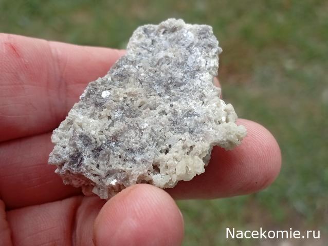 Компания кладоискателей. Болталка форума Минералов