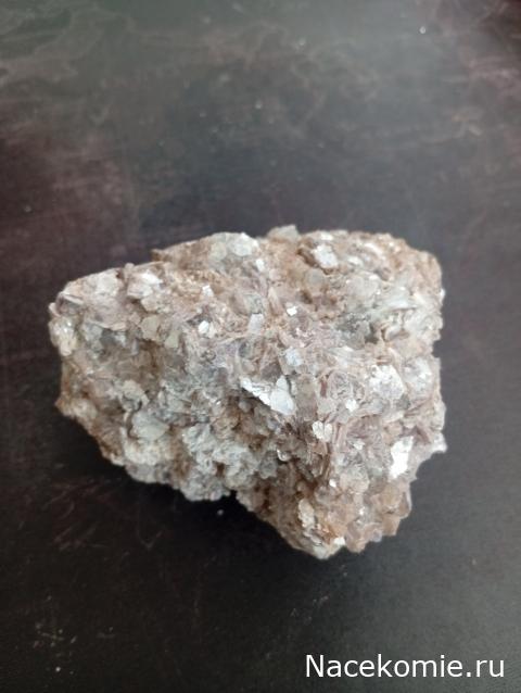 Компания кладоискателей. Болталка форума Минералов