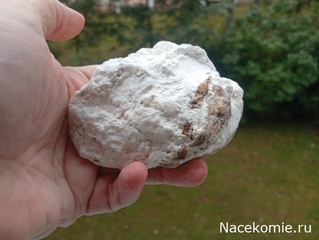 Компания кладоискателей. Болталка форума Минералов