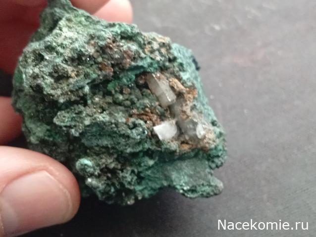 Компания кладоискателей. Болталка форума Минералов