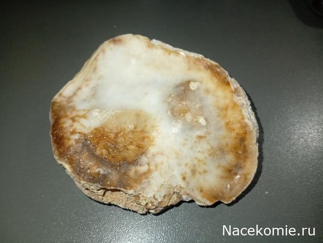 Компания кладоискателей. Болталка форума Минералов