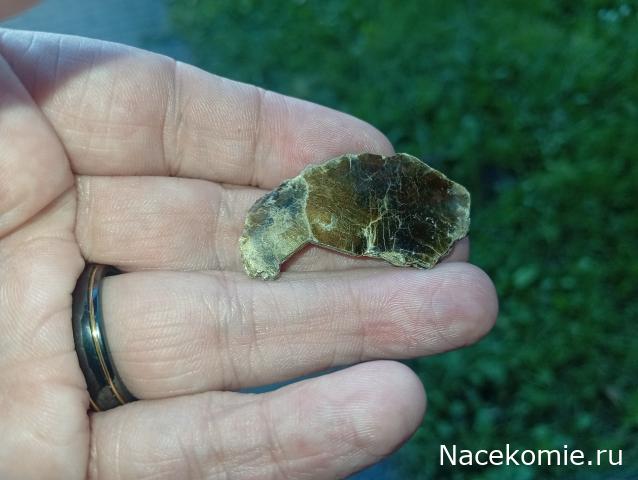 Компания кладоискателей. Болталка форума Минералов