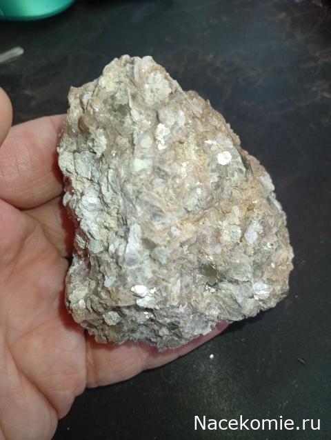 Компания кладоискателей. Болталка форума Минералов