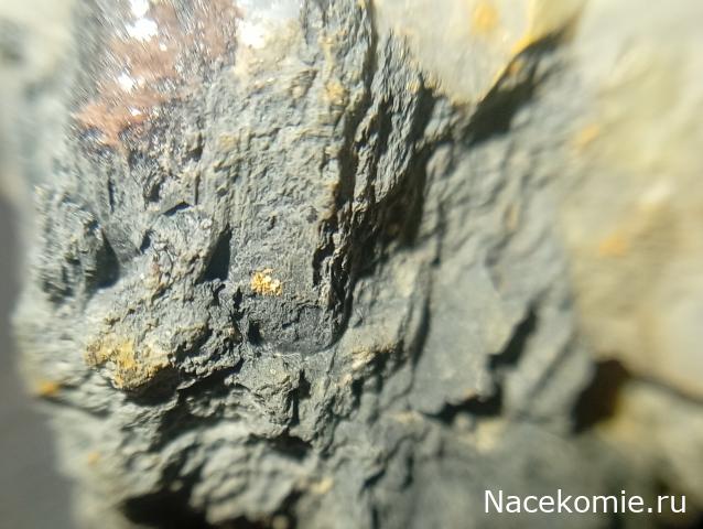 Компания кладоискателей. Болталка форума Минералов