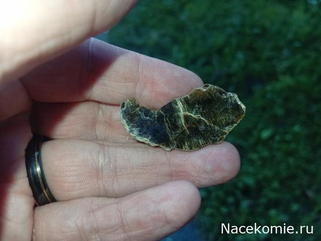 Компания кладоискателей. Болталка форума Минералов