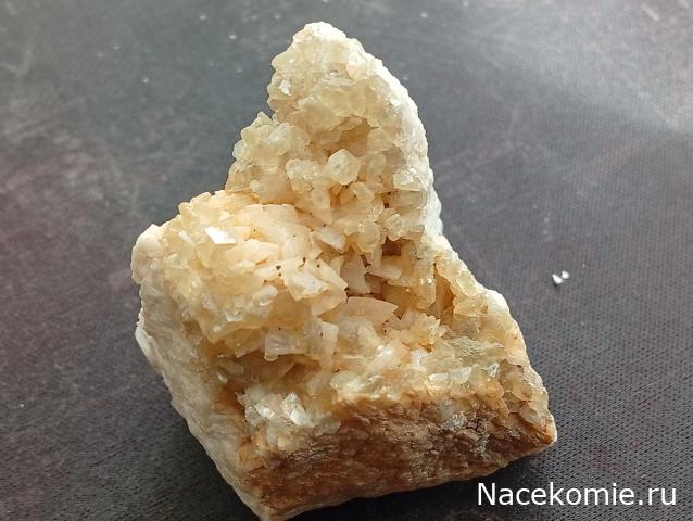 Компания кладоискателей. Болталка форума Минералов