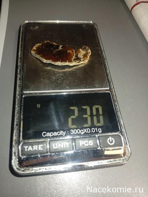 Компания кладоискателей. Болталка форума Минералов