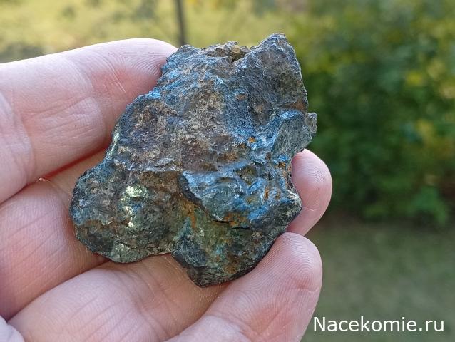 Компания кладоискателей. Болталка форума Минералов