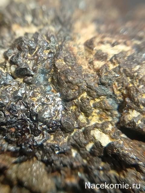 Компания кладоискателей. Болталка форума Минералов