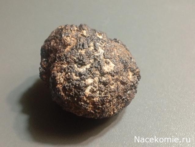 Компания кладоискателей. Болталка форума Минералов