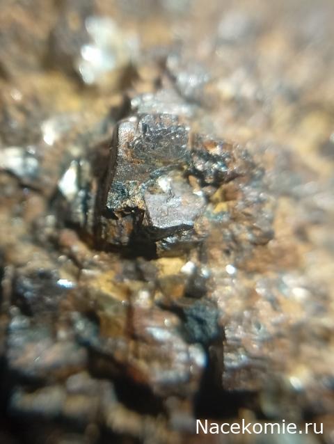 Компания кладоискателей. Болталка форума Минералов