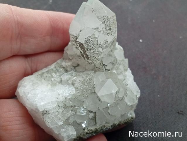 Компания кладоискателей. Болталка форума Минералов