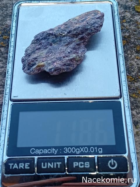 Компания кладоискателей. Болталка форума Минералов