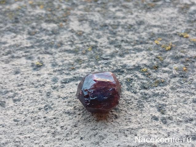 Компания кладоискателей. Болталка форума Минералов