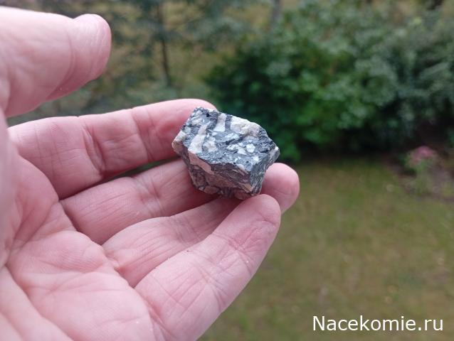 Компания кладоискателей. Болталка форума Минералов