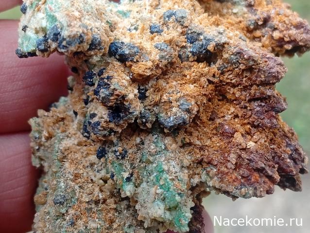 Компания кладоискателей. Болталка форума Минералов