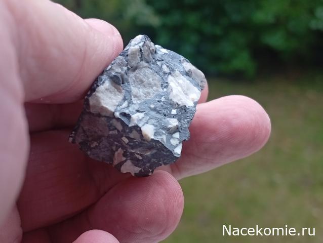 Компания кладоискателей. Болталка форума Минералов