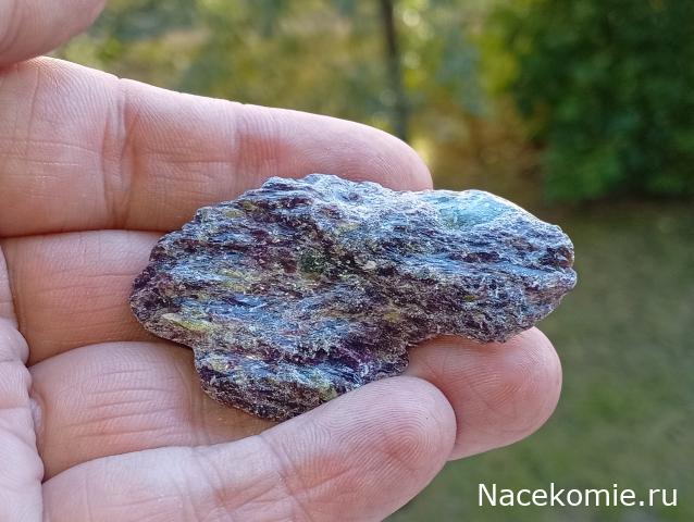 Компания кладоискателей. Болталка форума Минералов