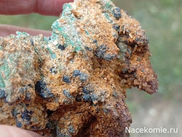 Компания кладоискателей. Болталка форума Минералов