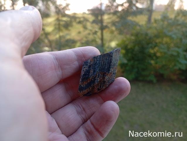 Компания кладоискателей. Болталка форума Минералов