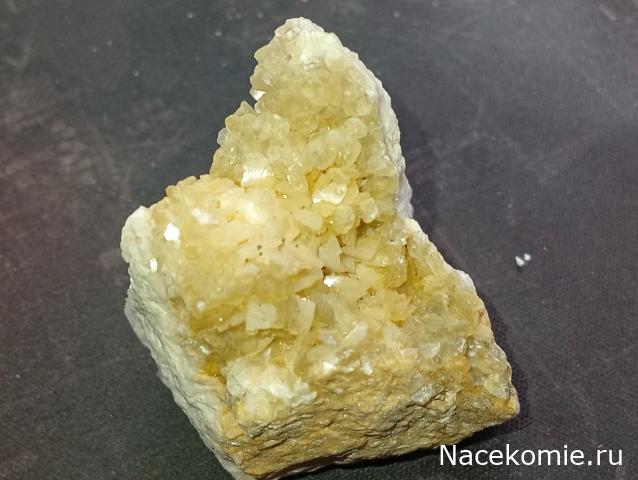 Компания кладоискателей. Болталка форума Минералов