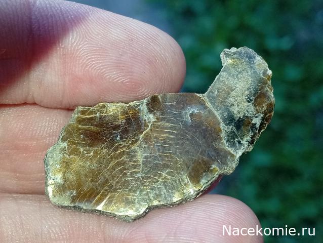 Компания кладоискателей. Болталка форума Минералов