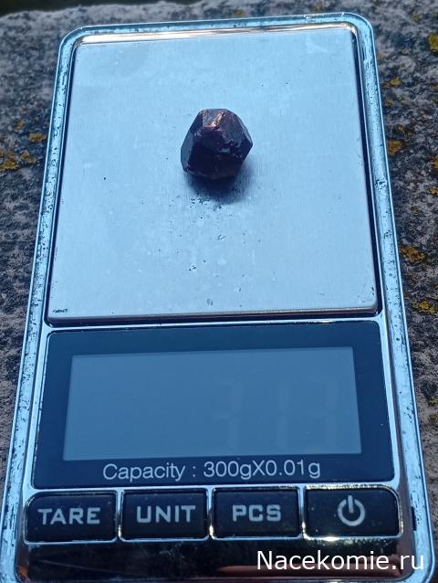 Компания кладоискателей. Болталка форума Минералов