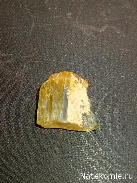 Компания кладоискателей. Болталка форума Минералов