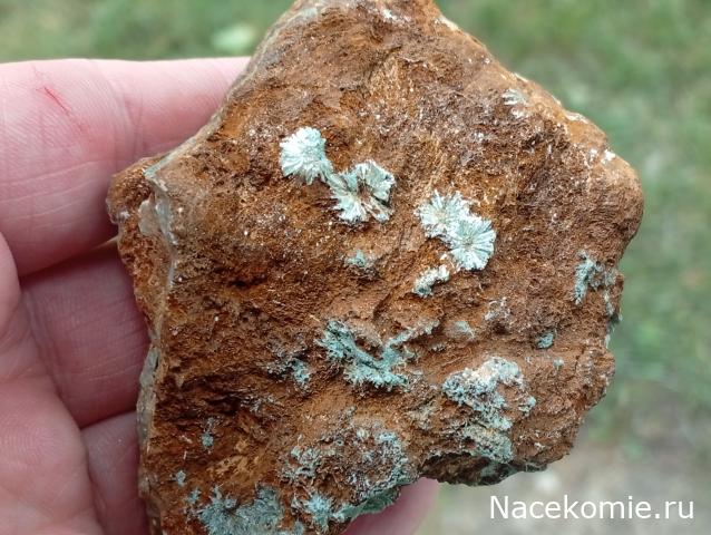 Компания кладоискателей. Болталка форума Минералов