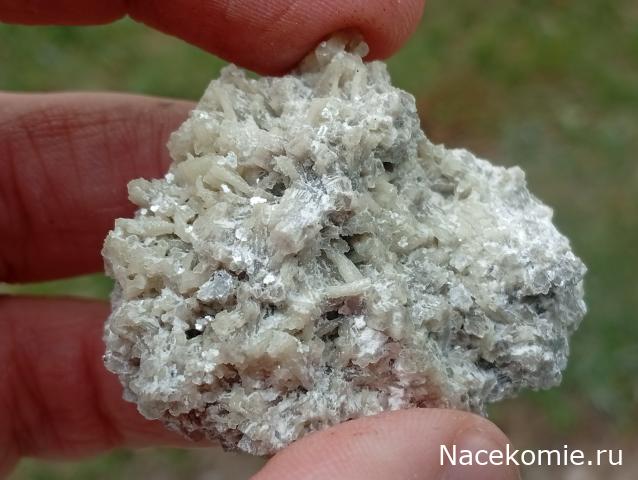 Компания кладоискателей. Болталка форума Минералов