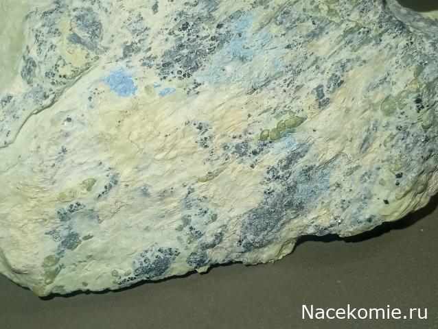 Компания кладоискателей. Болталка форума Минералов