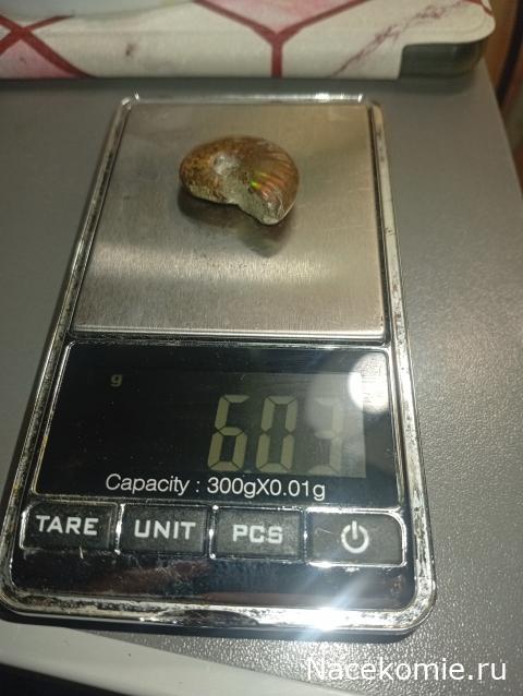 Компания кладоискателей. Болталка форума Минералов