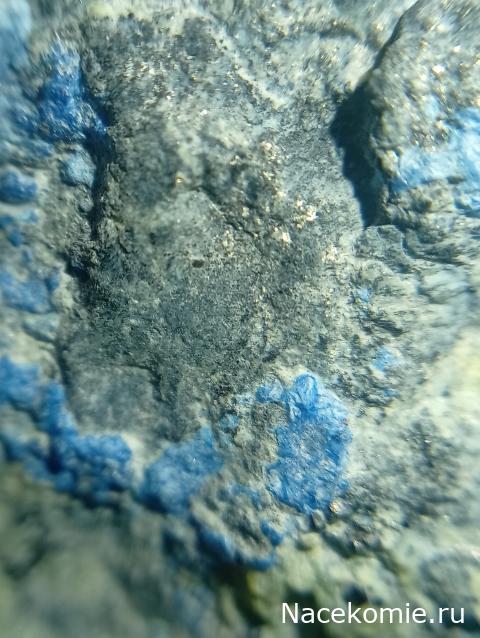 Компания кладоискателей. Болталка форума Минералов