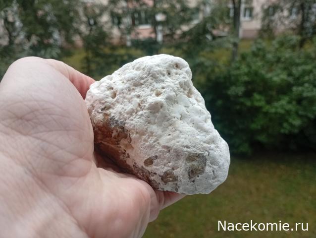 Компания кладоискателей. Болталка форума Минералов