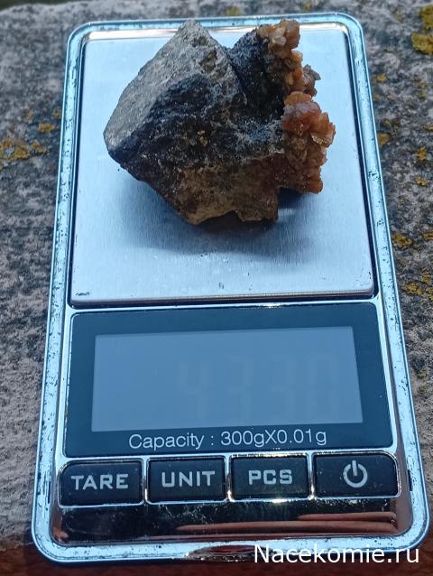 Компания кладоискателей. Болталка форума Минералов