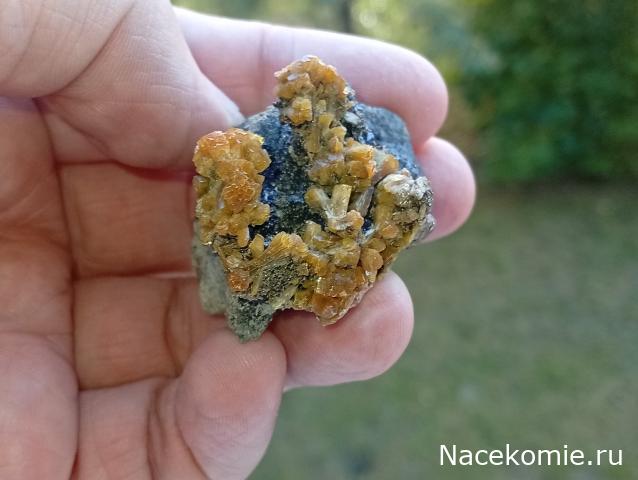 Компания кладоискателей. Болталка форума Минералов