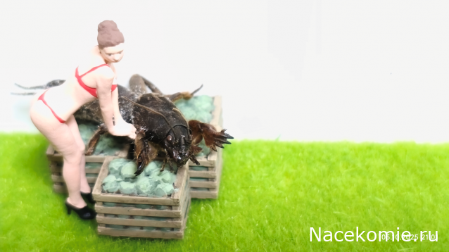 Строим Дом.