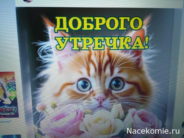 Eva1949 - Дом мечты-души моей воспоминания; 1Abrikoska - Мой гостеприимный дом