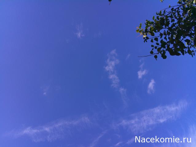 Eva1949 - Дом мечты-души моей воспоминания; 1Abrikoska - Мой гостеприимный дом