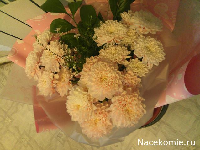 Eva1949 - Дом мечты-души моей воспоминания; 1Abrikoska - Мой гостеприимный дом