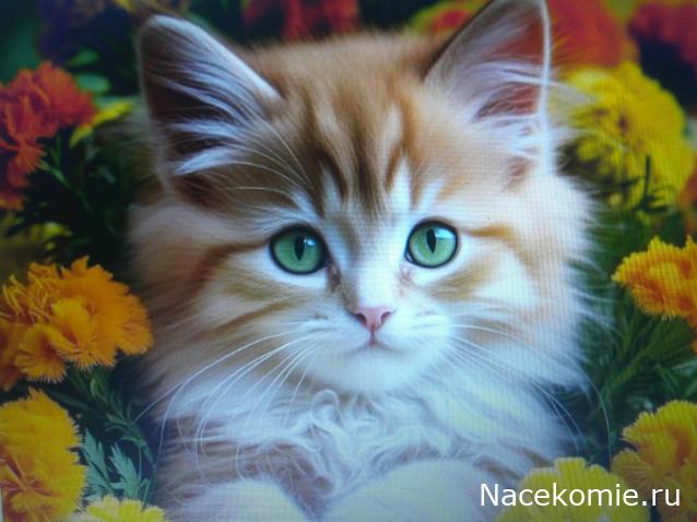 Eva1949 - Дом мечты-души моей воспоминания; 1Abrikoska - Мой гостеприимный дом