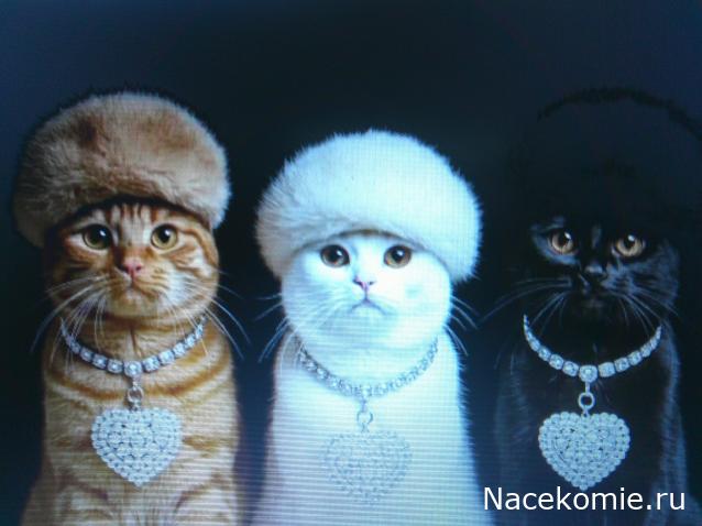 Eva1949 - Дом мечты-души моей воспоминания; 1Abrikoska - Мой гостеприимный дом