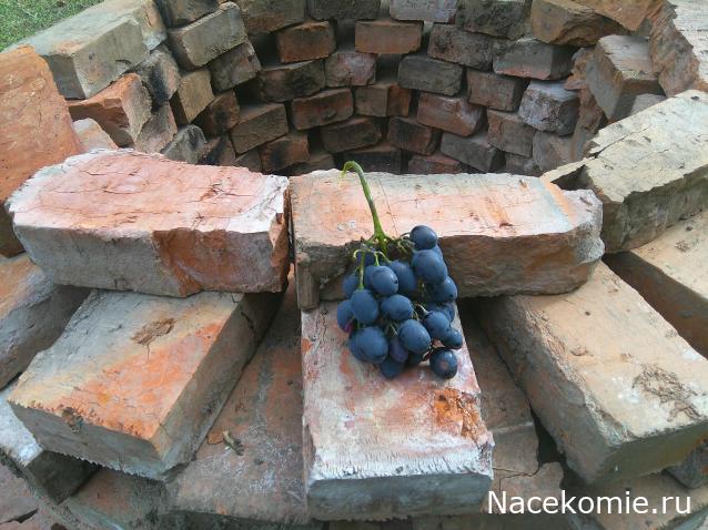 Eva1949 - Дом мечты-души моей воспоминания; 1Abrikoska - Мой гостеприимный дом