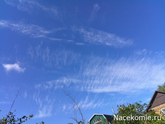 Eva1949 - Дом мечты-души моей воспоминания; 1Abrikoska - Мой гостеприимный дом