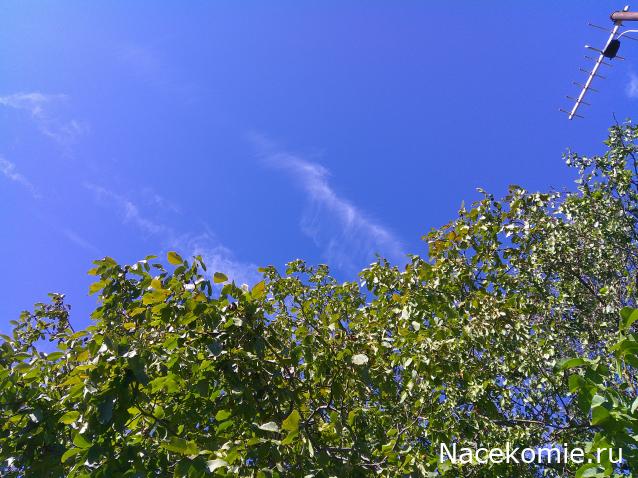 Eva1949 - Дом мечты-души моей воспоминания; 1Abrikoska - Мой гостеприимный дом