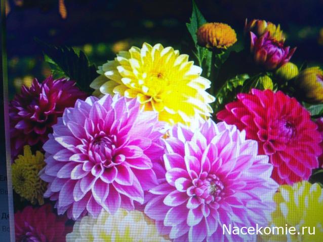 Праздник каждый день - поздравлялка Авторазделов