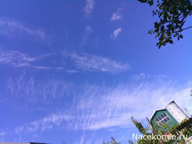 Eva1949 - Дом мечты-души моей воспоминания; 1Abrikoska - Мой гостеприимный дом