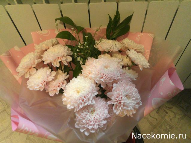 Eva1949 - Дом мечты-души моей воспоминания; 1Abrikoska - Мой гостеприимный дом